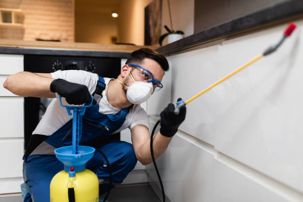 Best Pest Prevention Services  in Clinton, IA