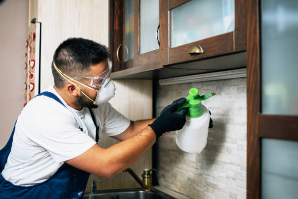 Best Pest Inspection Near Me  in Clinton, IA