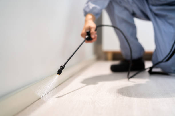 Best Pest Control Treatment  in Clinton, IA