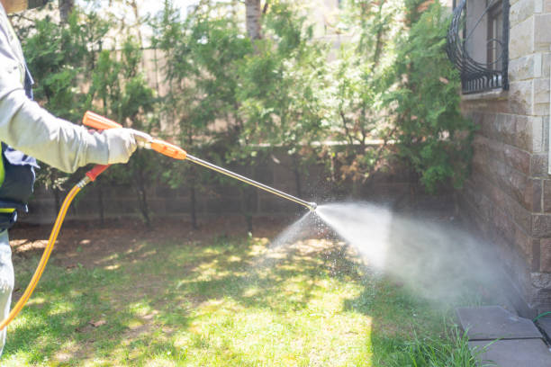 Best Bird Control  in Clinton, IA