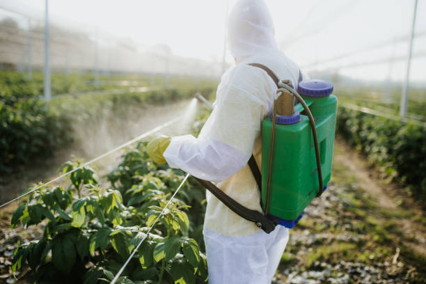 Best Exterminator Services  in Clinton, IA